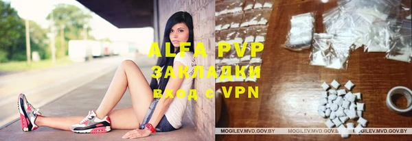 apvp Бородино
