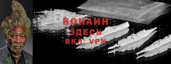 твердый Верхний Тагил