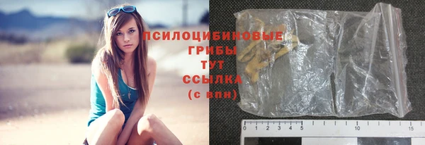 винт Бронницы