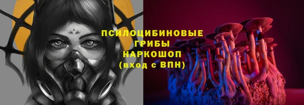 винт Бронницы