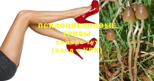 apvp Бородино