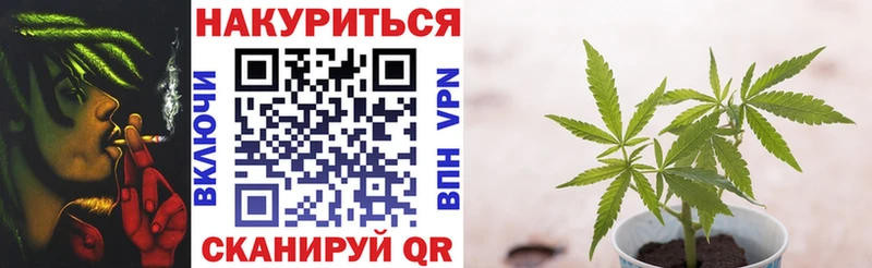 Конопля планчик  Кимовск 